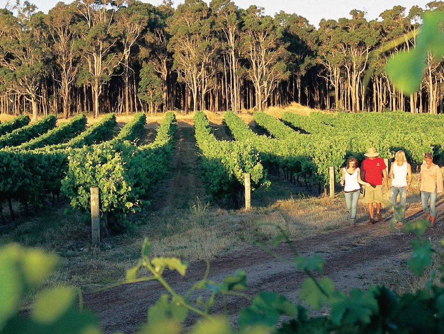 บริดจ์ฟีลด์ เกสท์ เฮ้าส์ Hotel Margaret River ภายนอก รูปภาพ